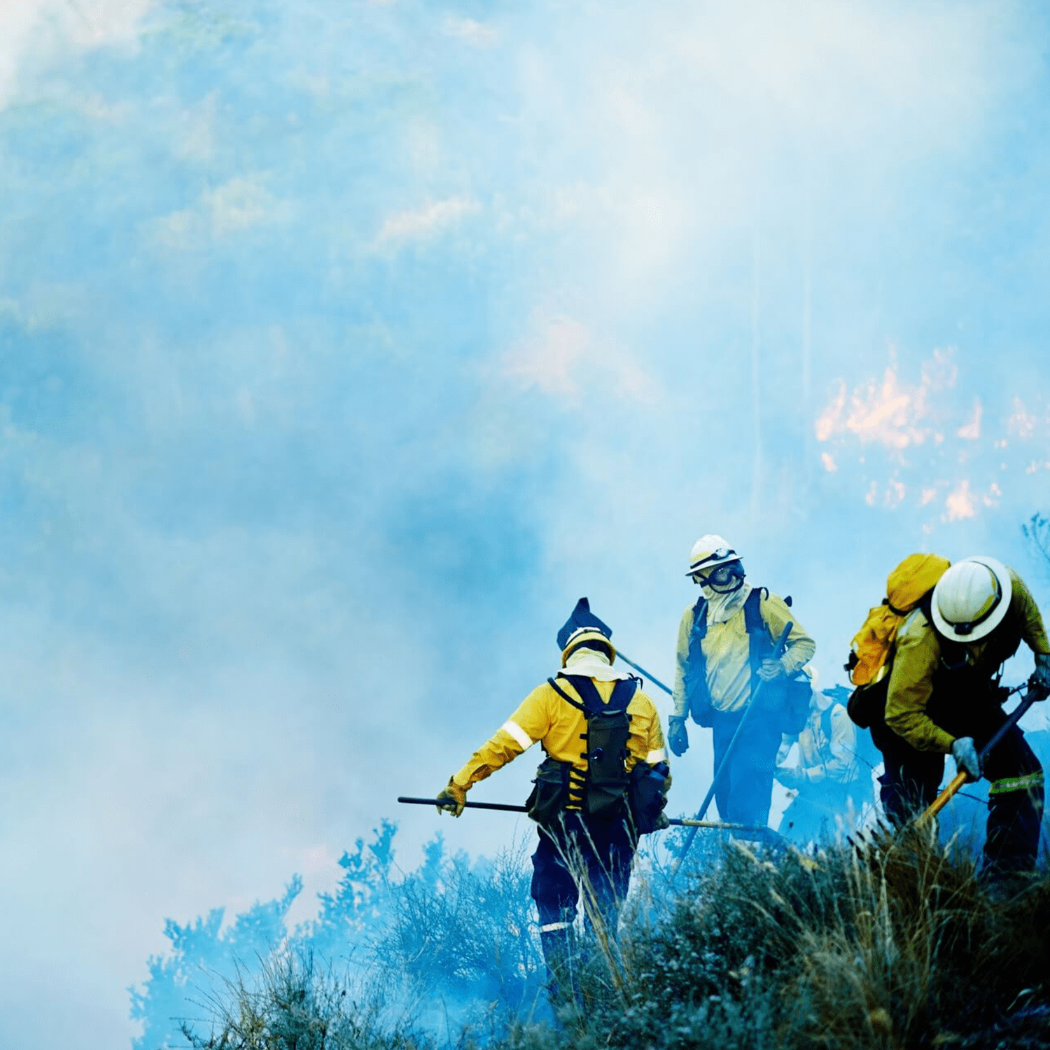 Todo Riesgo Bienes Físicos