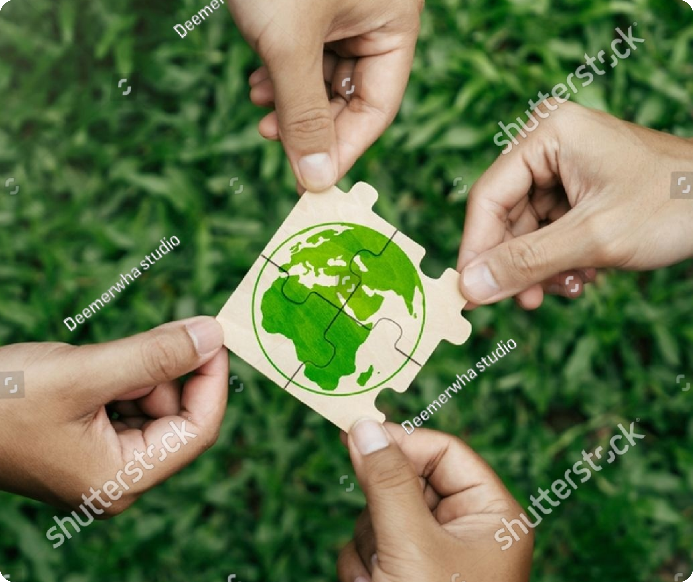 Reale Group Services