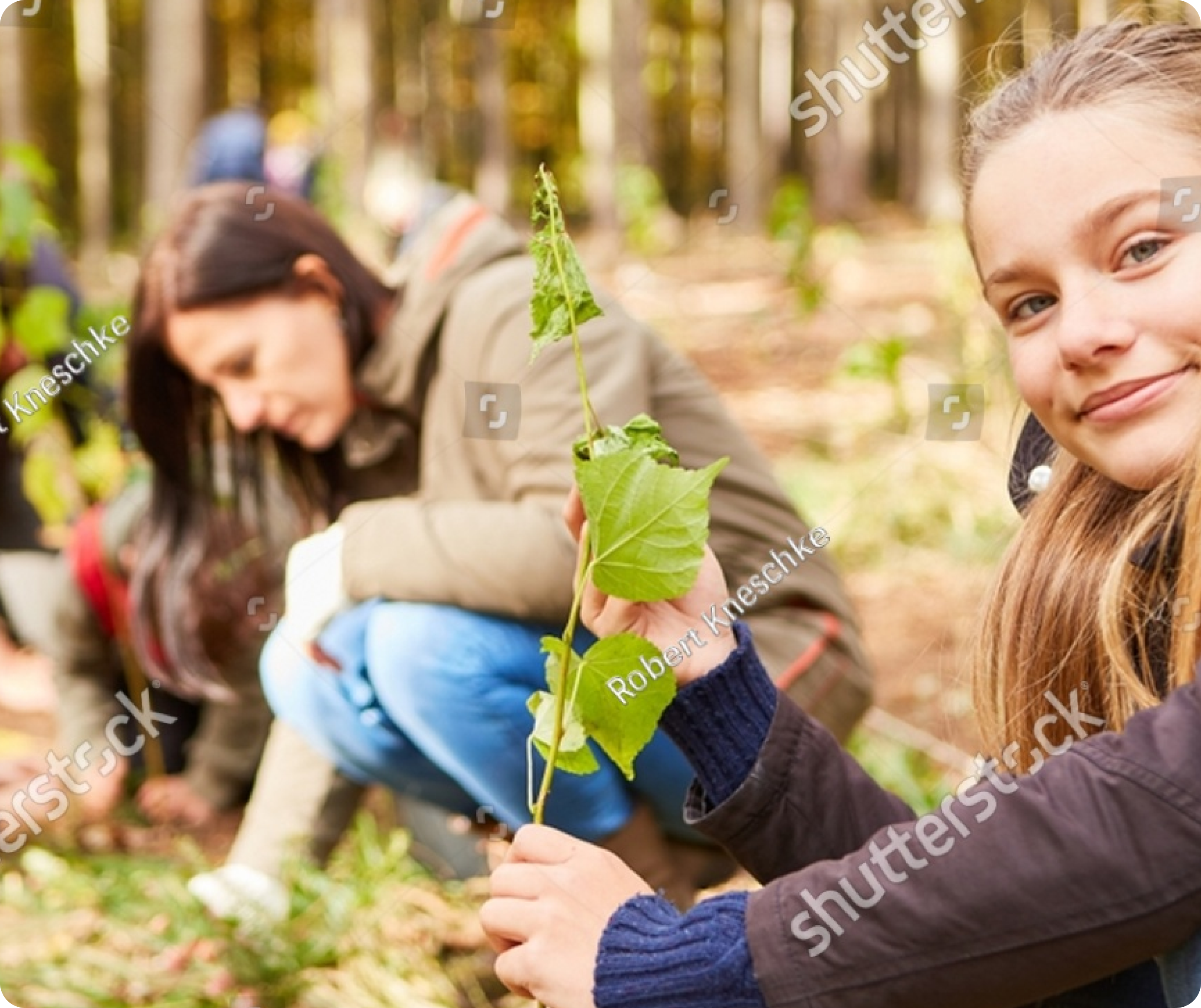 Reale Group Services